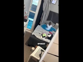 why did water beds disappear