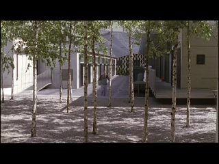 video by sanya bely