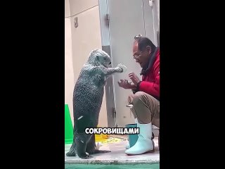 the sweetest animal