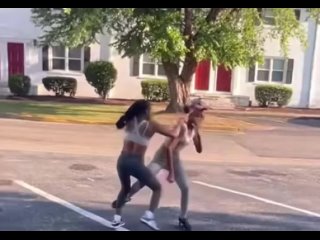 xdownloader.com onlyboutfights 74212