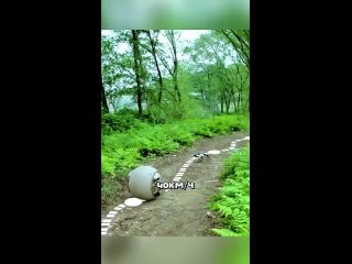 moto-terminator in real life